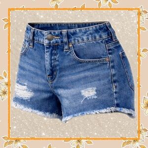 Mossimo High Rise Distressed Denim Shorts Size 2 W26 Raw Hem Mid-2010s Summer